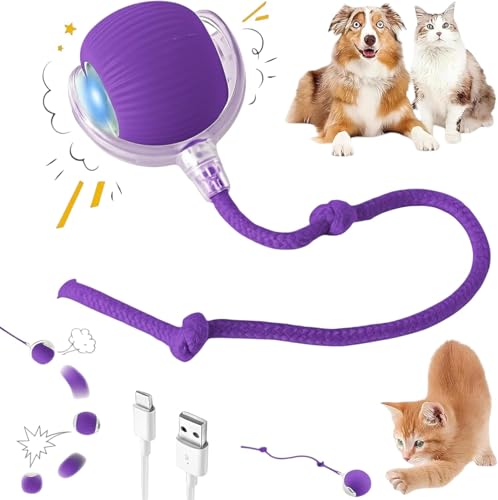 Durable Interactive Cat Toys for Indoor Cats, Dog Toys Ball, Rolling Pet Ball, Smart Automatic Cat Chase Balls Toy, Interactive Dog Toys Speedy Tail,Kitten & Cat Toys Interactive (Purple) - color: PURPLE