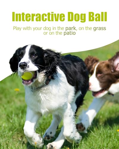 2-inches Interactive Dog Tennis Balls for Exercise and Training