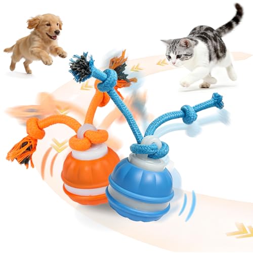 2 Pack Interactive Dog & Cat Ball, Auto Chirping, Rechargeable, Self Play - color: 1 Orange + 1 Blue