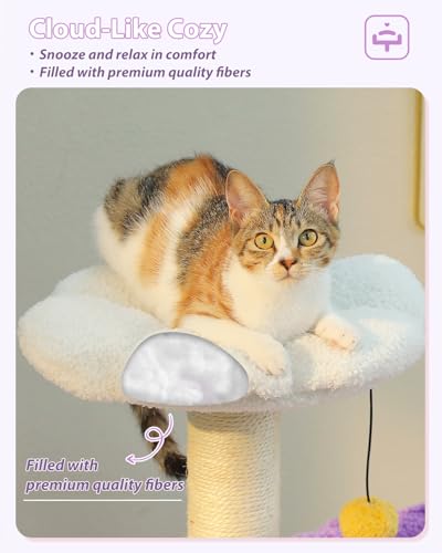 MUTTROS Purple Flower Cat Tree for Small Indoor Cats w/Large Metal Frame Hammock, 35" Cute Cat Tower with Sisal Scratching Posts, Cozy Condo with Cloud White Bed for Kittens - color: Purple, size: 35" Upgraded Flower Cat Tree
