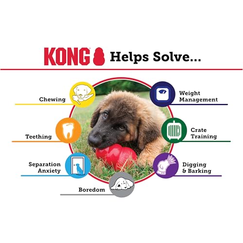 KONG Classic Stuffable Dog Toy, Natural Rubber Chew, for Medium Dogs - size: Medium (Pack of 1)