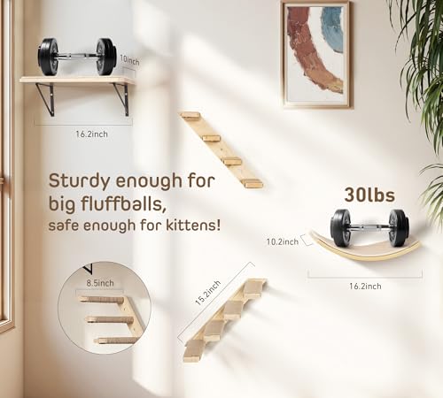Cat Wall Shelves Set with Sisal Cats Stairs, 4 Piece Wooden Climbing Furniture with Scratchable Curved Bed, Flat Shelf & 2 Cat Wall 4-Steps Ladders - color: Curved Foam, size: Combo 4 in 1