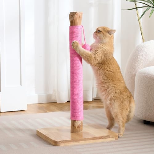 29" Tall Solid Wood Cat Scratching Post for Indoor Cats, Extra Stable Heavy Base, Natural Sisal Scratcher with Hanging Ball, Furniture Protector for Kittens & Adult Cats, Pink - color: Pink