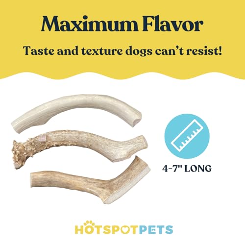 hotspot pets Small Premium Deer Antler for Dogs (3 Pack) - 4-7 Inch Long Lasting Antler Dog Chews Naturally Shed Deer Antlers Bone for Small & Medium Breed Aggressive Chewers - Sourced in USA - size: 3 Count (Pack of 1)