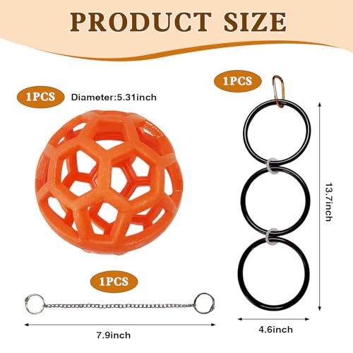 1 Set Snake Enrichment Toys Reptile Climbing Jungle Gym Ball & Enrichment Rings Exploring Exercise & Climbing Accessories for Corn Snakes Tank Accessories for Terrarium Enrichment Toys (Orange)