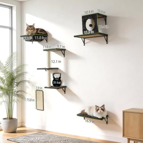 Cat Wall Shelves, Cat Wall Mounted Furniture, Climbing Wall Systems with Perches, Scratchers and Condo, Kitten Indoor Jungle Gym Set of 5 (Grey) - color: Grey