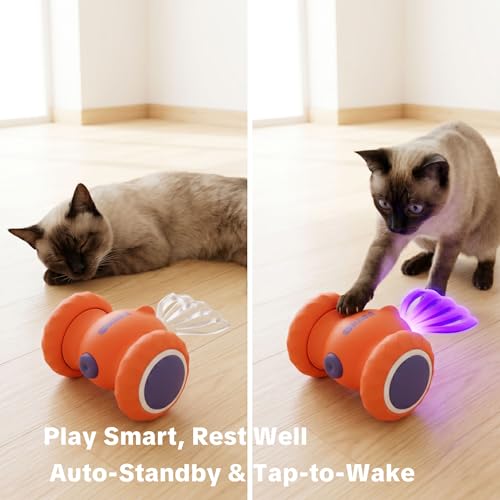 Interactive Cat Toys, Puppy Dog Toys - color: Orange