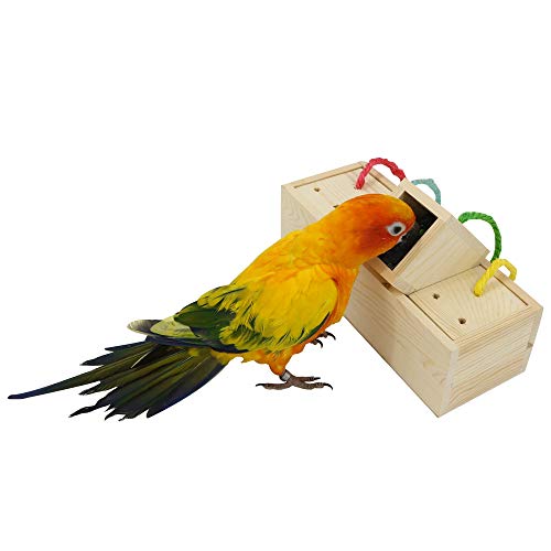 YINGGE Wooden Bird Foraging Feeder Toys, Intelligence Toys for Medium and Large Parrots Sun Conures, Caique, Cockatoo, African Grey, Macaws, Amazon