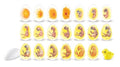 Learning Resources Chick Life Cycle Exploration Set