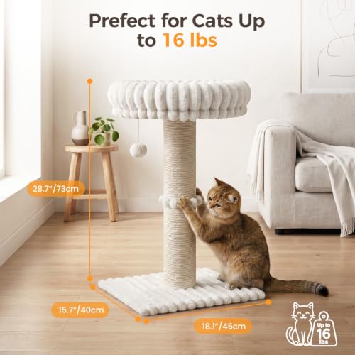 Avont Modern Cloud Cat Scratching Post with Perch for Indoor Adult Cats - color: Cream