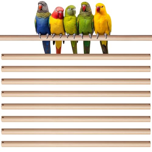 Sintuff Bird Perches Natural Wood Double Slots, 15 Inches, 8 Pcs - size: 15 Inches