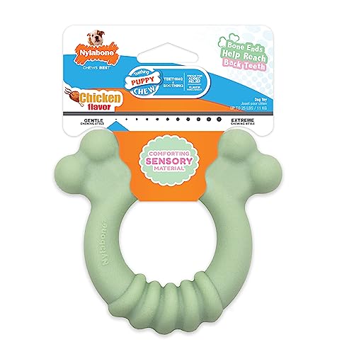 Nylabone Puppy Chew Sensory Material Soothing Ring Dog Chew Toy, Small