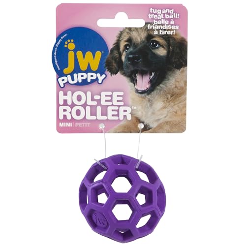 JW Pet Hol-ee Roller Treat Dispenser Puzzle Ball, Mini 1.75in, Rubber - size: Mini