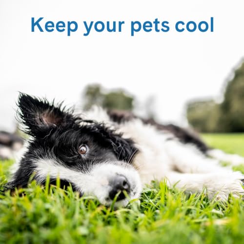 The Green Pet Shop Cool Pet Pad - Extra Large, Iced Latte - Self-Cooling, Pressure Activated Mat for Dogs & Cats from 80+ lbs - Non-Toxic Gel, No Water Needed - color: Iced Latte, size: X-Large