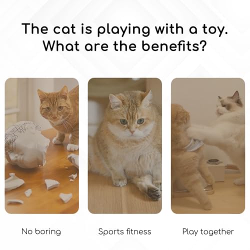 Interactive Cat Toys, Rechargeable with Auto Play and Bird Chirps - color: Green