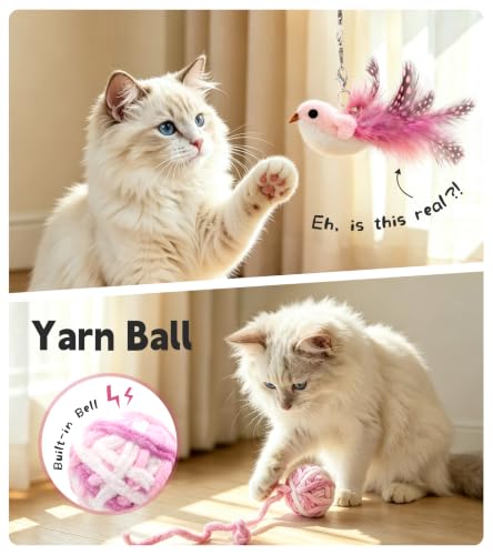 SONGWAY Interactive Cat Wand Toy Set - Retractable Cat Teaser Wand with 8 PCS Cat Toy Attachments, Dragonfly Butterfly Bird Mouse Yarn Ball Tassel Feather Cat Toy Refills for Indoor Cats Kittens, Pink - color: Pink