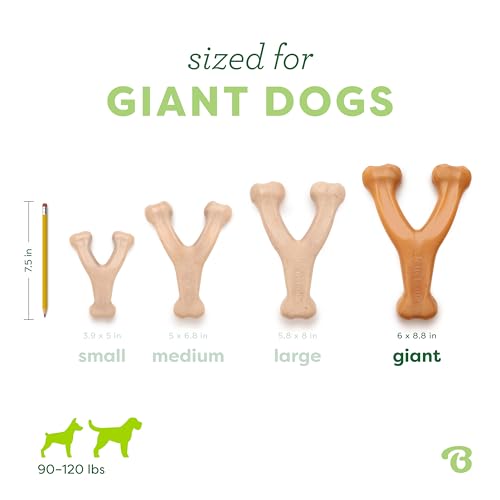 Benebone Wishbone Dog Chew Toy for Aggressive Chewers, Real Chicken, Giant - size: Giant
