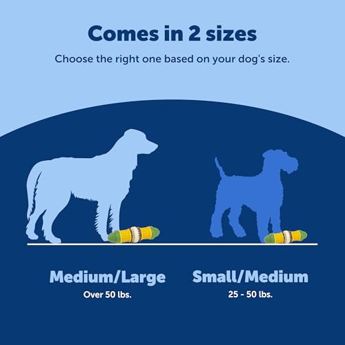 PetSafe Busy Buddy Cravin Corncob Treat Holding Dog Toy, Medium/Large - size: Medium/Large