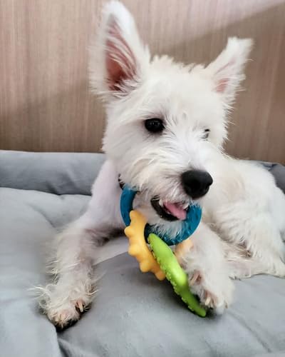 Nylabone Puppy Chew Toy & Treat Bundle, Small, 6 Count - color: Bundle, size: Small