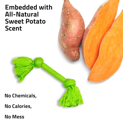 Playology Tug Rope Dog Toys for Medium Dogs - Medium, Sweet Potato Scent - size: Medium, style: Sweet Potato