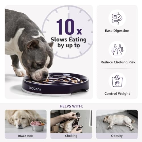 LOOBANI 4.5 Cups Ceramic Slow Feeder Dog Bowls Giant Dogs with Grip Handles - size: XL (4.5 cups)