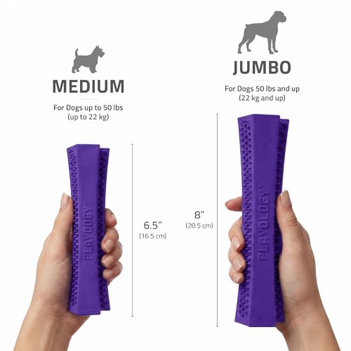 Playology Dental Chew Stick for Senior Dogs - Pork Scented - Medium - size: Medium Chew Stick, style: Pork Sausage
