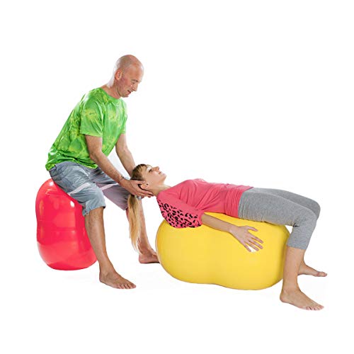 GYMNIC Physio Roll 55