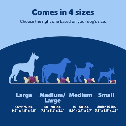 PetSafe Busy Buddy Bouncy Bone Treat Holding Dog Chew Toy, Large - size: Large, style: Bouncy Bone
