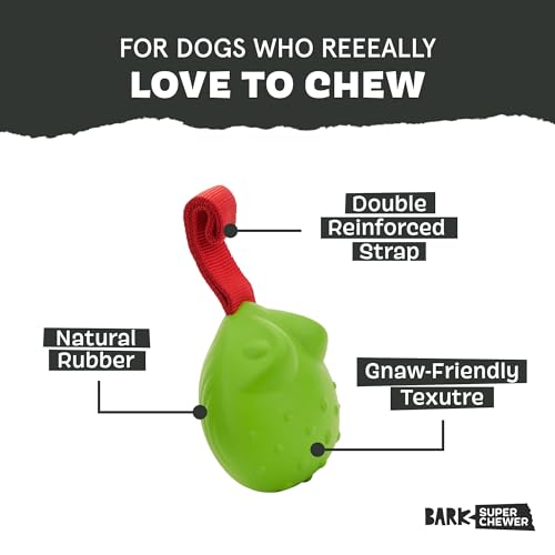 BarkBox Tug Tied Toad Dog Toy - for Large Dogs - color: Tug Tied Toad-Large