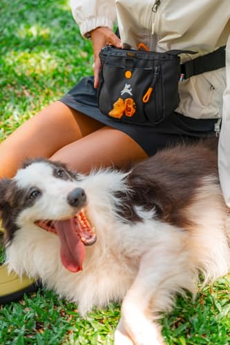 OllyDog Backcountry Day Bag | Hands-Free Dog Training Treat Pouch | Fanny/Hip Pack with Zipper Closure & Built-in Poop Bag Dispenser | Removable Waist Clip (Raven S'25) - color: Raven S'25