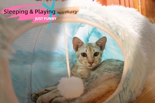 XxingSheep Extra Large Cat Tunnel Bed Plush Cat Cave for Indoor Cats - color: Azure Blue