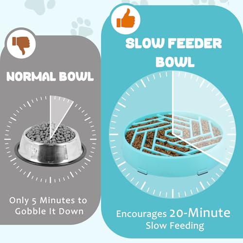 WHIPPY Slow Feeder Dog Bowl, Puzzle Maze Design to Slow Down Eating, 3-Cup Capacity, Anti-Gulping Food Bowl for Medium & Large Dogs,Sky Blue - color: sky blue