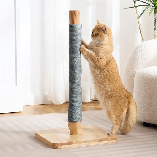 29" Tall Solid Wood Cat Scratching Post for Indoor Cats, Extra Stable Heavy Base, Natural Sisal Scratcher with Hanging Ball, Furniture Protector for Kittens & Adult Cats, Grey - color: Grey