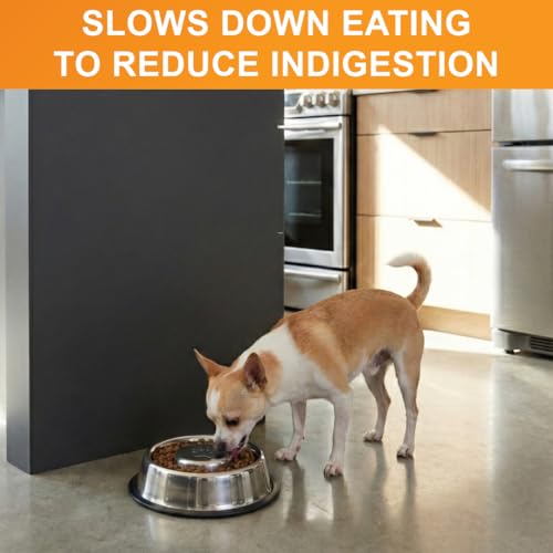 Neater Pet Brands Stainless Steel Slow Feed Bowl - Non-Tip & Non-Skid - Stops Dog Food Gulping, Bloat, Indigestion, and Rapid Eating (.75 Cup) - size: .75 Cup - Non Tip