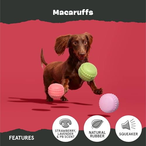 BarkBox Macaruffs - for Small Dogs - color: Macaruffs-Small