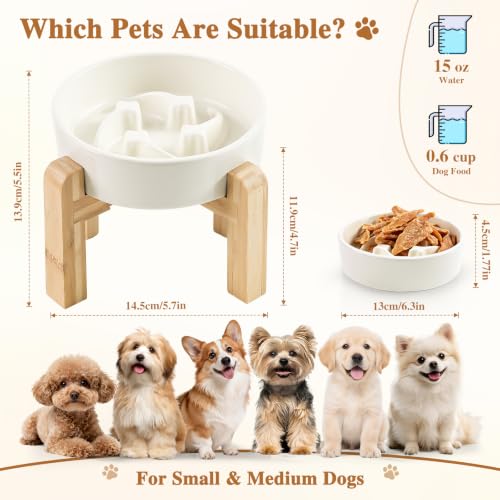 6.3” Elevated Slow Feeder Dog Bowls,Ceramic Slow Feeder Dog Bowl with Stand - color: White-M