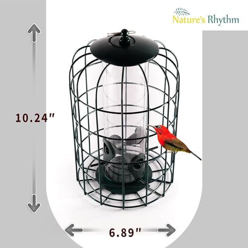 Nature's Rhythm Outdoor Hanging Bird Feeder Cage PC Tube Squirrel Proof Wild Bird Feeder with Large Metal Seed Guard Deterrent - size: PC Tube Bird Feeder