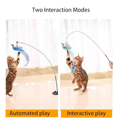 Cat Toys Interactive Hands-Free 8 Pack Cat Toys for Indoor, - color: black