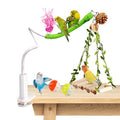 Bird Perch with Swing, Movable Desktop Stand with Clamp