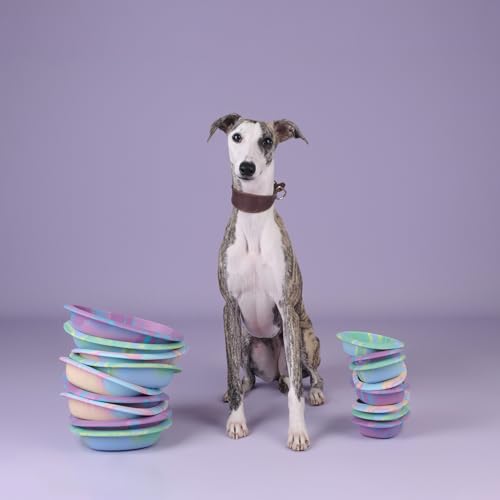 CHEWFFON Dog & Cat Lick Mat Bowls with Suction Cups, Rainbow - color: Rainbow, size: Large