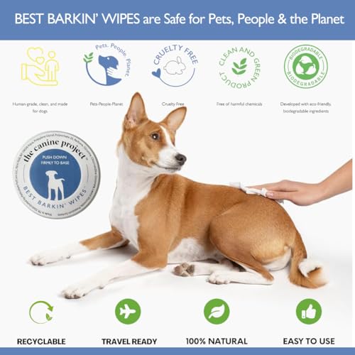 BARKIN' Wipes – On-The-Go Individual Micellar Water Dog Wipes - 12Pk - size: 12-Pack