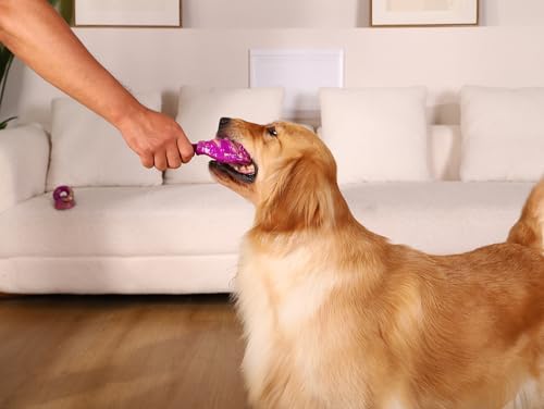 WinTour Dog Chew Toys for Aggressive Chewers, Tough Toys for 30-80lbs Dogs - color: Purple