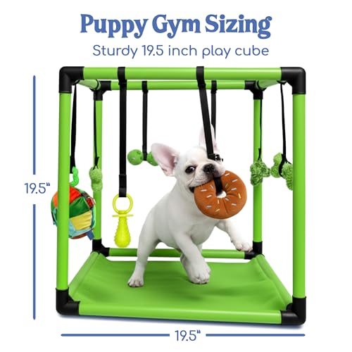 Race&Herd 19.5" Puppy Play Gym — Small Dog Jungle Activity Mat (Lime) - color: Lime