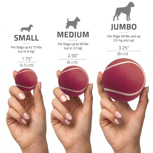 Playology Squeaky Chew Ball Dog Toy - Medium, Cranberry Scent - size: Medium, style: Cranberry