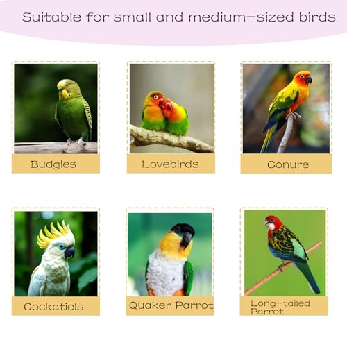6-Ring Bird Swing Toy for Cage, Hanging Budgie Cage Accessories, Bird Parrot Swing Toys, Suitable for Cockatiels, Lovebirds, Cockatoos, Mynas, Goldfinches, and Other Small to Medium-Sized Birds