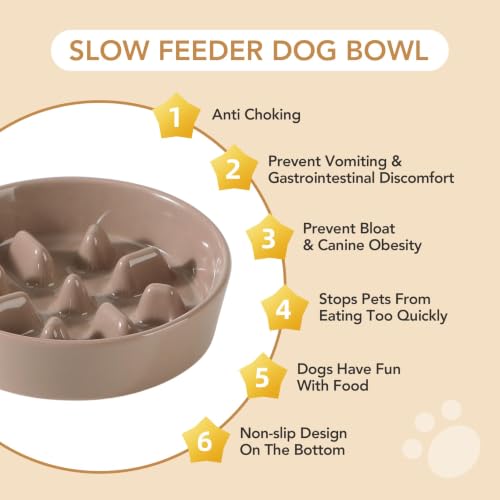 Havniva Elevated Slow Feeder Dog Bowls, 7.3 in Ceramic Slow Feeder Bowl Set - color: Brown Coffee