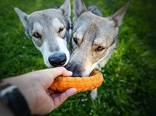 Spunky Pup Gnaw Guard Foam Dog Toy | Strong Dental Chew Toy | Promotes Healthy Teeth & Gums | Large Ring - color: Light Blue, size: Large