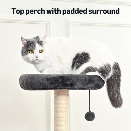 Amazon Basics Cat Tree Tower for Indoor cat, Solid Steel Frame with Removable Scratching Pad, Gray, 32 Inches - size: 32 in