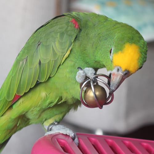 Fosrion Stainless Steel Bird Toy, Foraging Ball with Bell for Parrots - size: Large