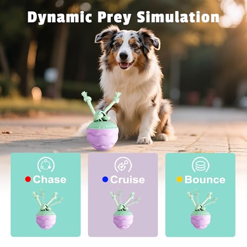 Interactive Dog Toys [2025 Upgrade] – Smart Dog Ball, Automatic Motion-Activated Rolling, Random Path, Squeaky Sounds, USB-C Rechargeable LED Light, Indoor/Outdoor Use